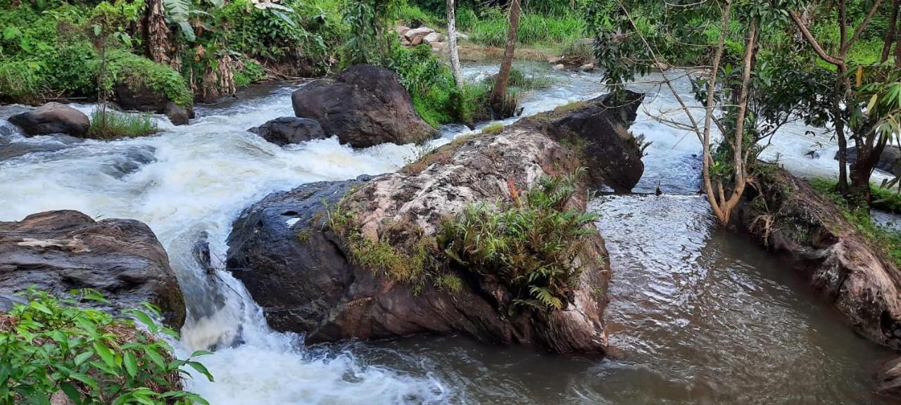 Linn View Home Stay Munnar Pokój zdjęcie