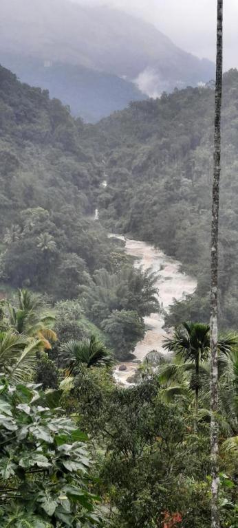 Linn View Home Stay Munnar Zewnętrze zdjęcie