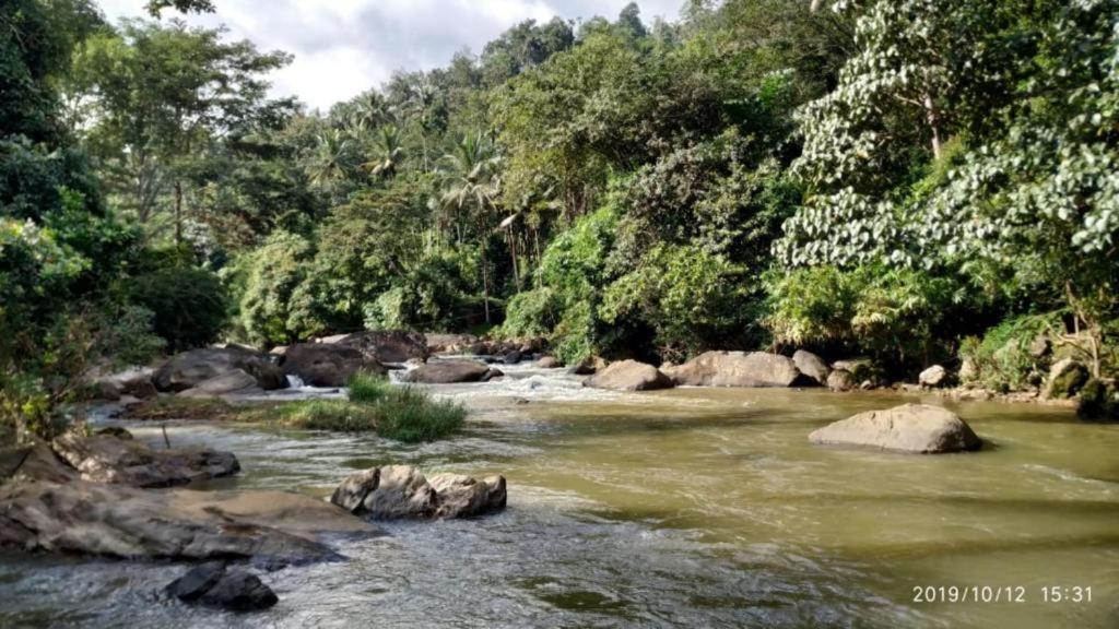 Linn View Home Stay Munnar Zewnętrze zdjęcie