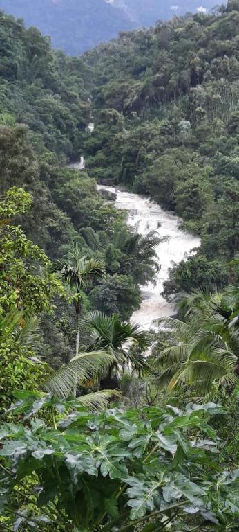 Linn View Home Stay Munnar Zewnętrze zdjęcie